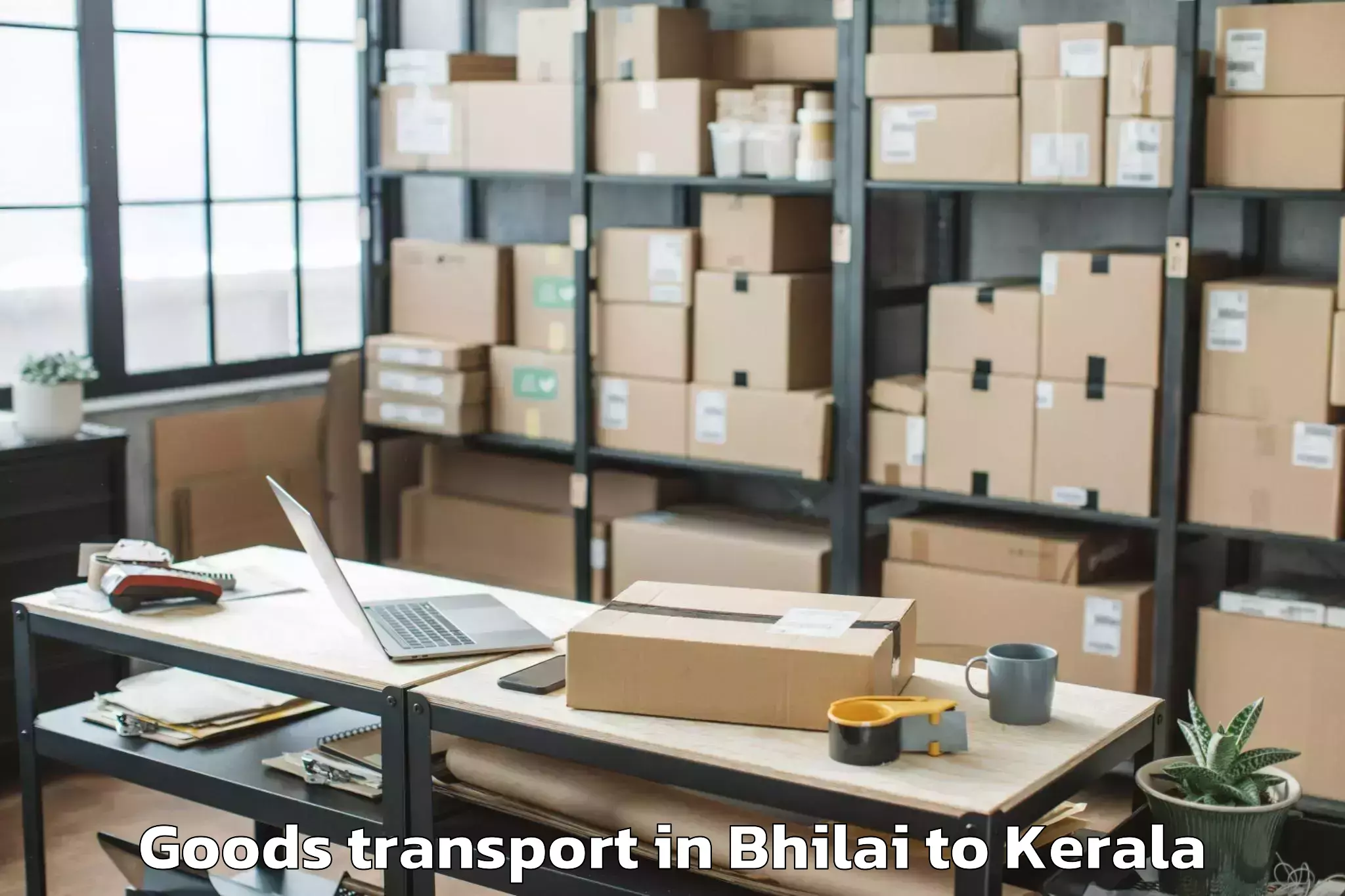 Quality Bhilai to Thenhipalam Goods Transport